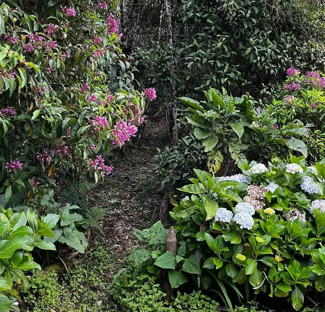 Ancestral Habitad Vila Medellín 0*,